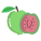 Guava icon