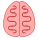 Brain icon