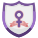 Protezione selezionata icon