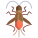 Boxelder Bug icon