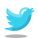 ツイッター icon