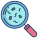 Search icon