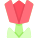 Tulipa icon