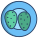 Grilled Cactus icon