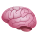 脳の絵文字 icon