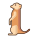 Meerkat icon