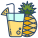 Pineapple Juice icon