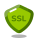 SSL icon