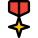 Star cross medal awarded for gallantry in action against an enemy icon