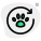 Pet animal insurance coverage renewal isolated on white background icon