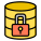 Database Security icon