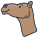 Camel icon