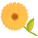 Calendula icon