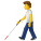 Person With White Cane icon