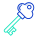 Key icon