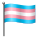 Transgender Flag icon