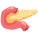 Pancreas icon