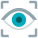 vision icon