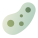 Bacteria icon