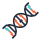 Dna icon