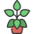 Peperomia icon