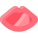 Labios icon