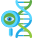 Dna Strand icon