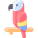 Macaw icon