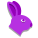 Année du lapin icon