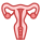 Uterus icon