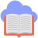 Online learning icon