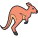 Canguro icon