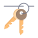 Keys icon