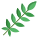 Rowan Leaf icon