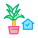 Domestic Plant icon