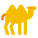верблюд icon