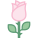 Rosa icon