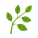 herbe icon
