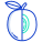 Plume icon