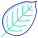Beech Leaf icon