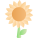 Sun Flower icon