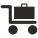 Luggage Delivery Service icon