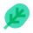 Spinach icon