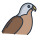 Falcão icon