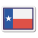텍사스 국기 icon