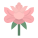 Peony icon