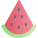 Water Melon icon