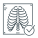 Chest X-Ray icon