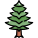 Pine Tree icon