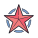 Estrela do exército icon